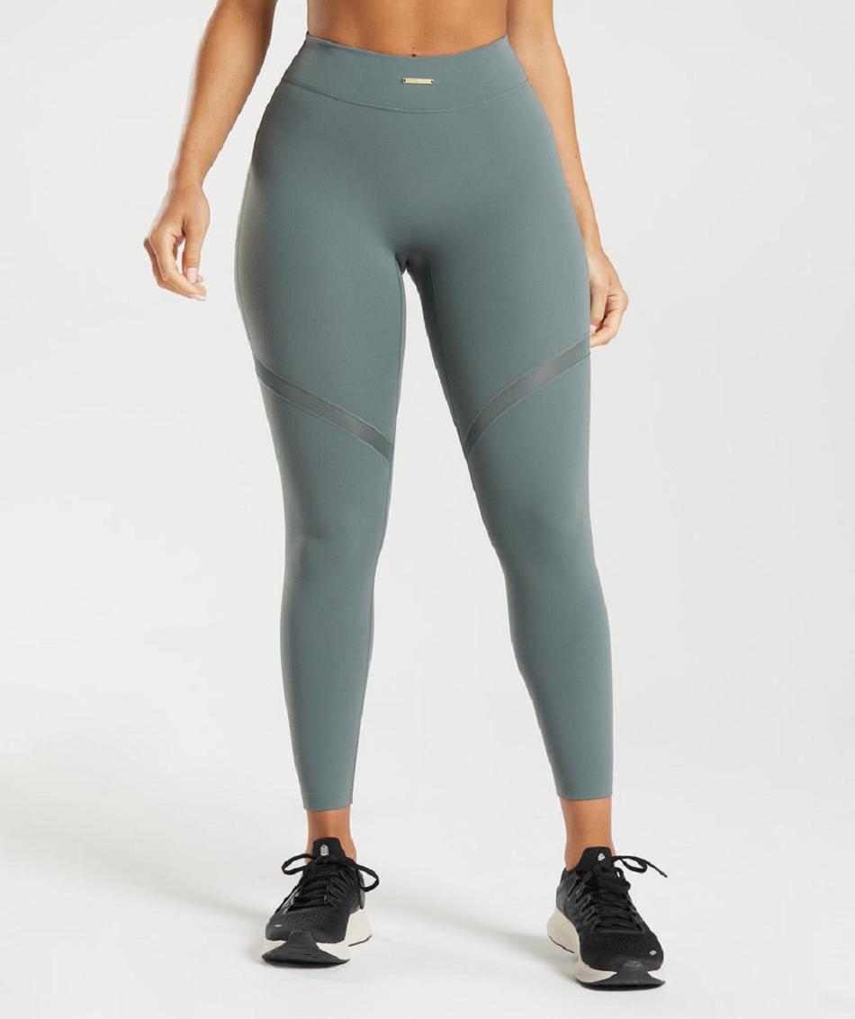 Leggins Gymshark Whitney Mesh Mujer Gris | CO 2907AHK